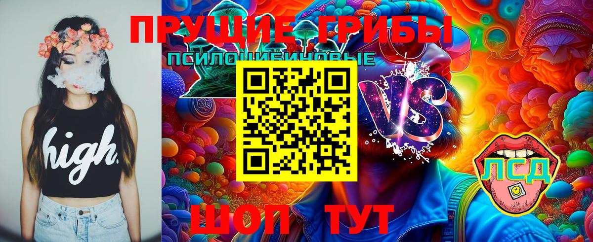 Галлюциногенные грибы Cubensis  Вход с VPN  Псилоцибиновые грибы Psilocybine cubensis  Нальчик 